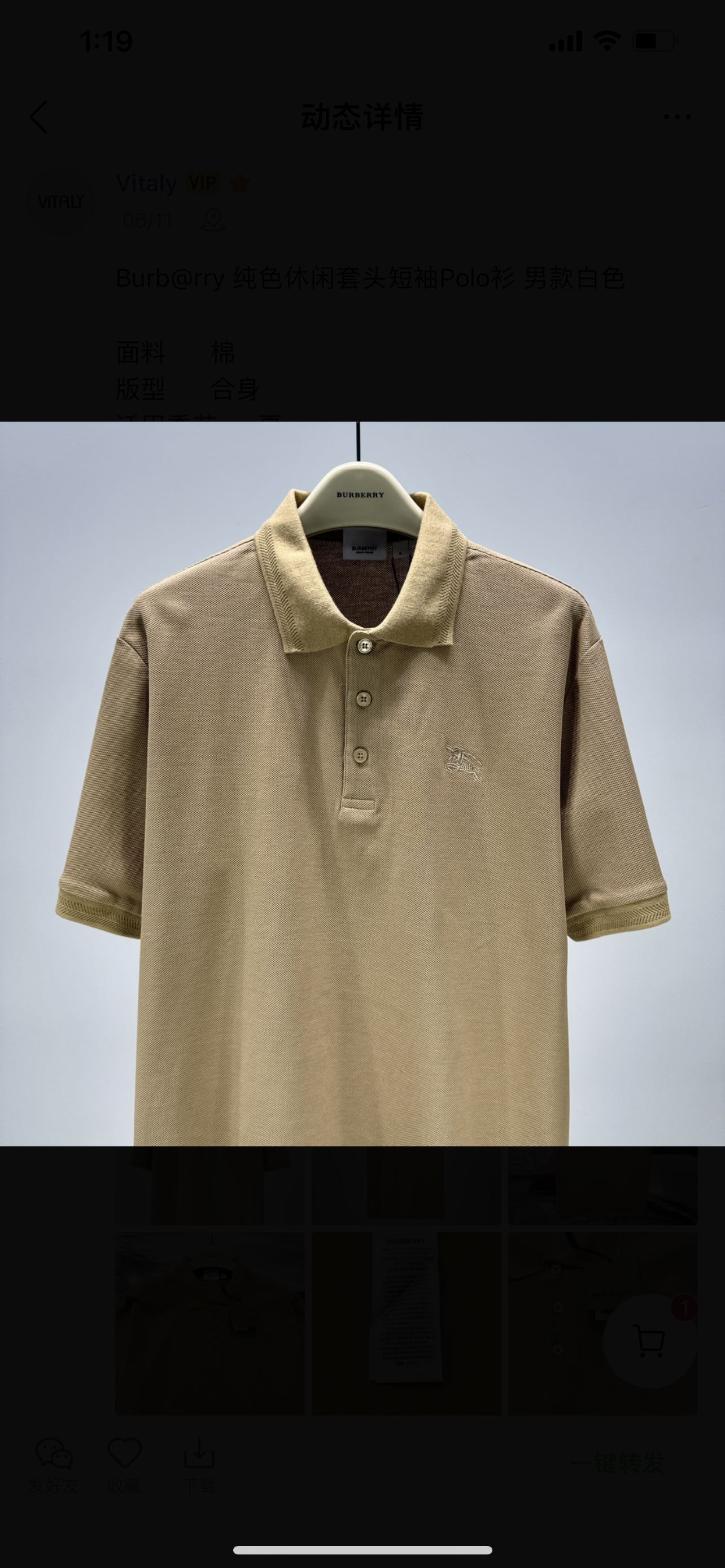 BURBERRY Poloshirt (Varios colores)