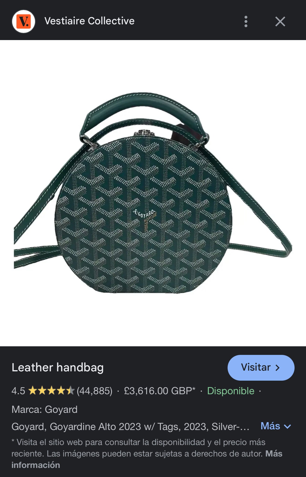 GOYARD The Alto Hatbox Trunk Bag