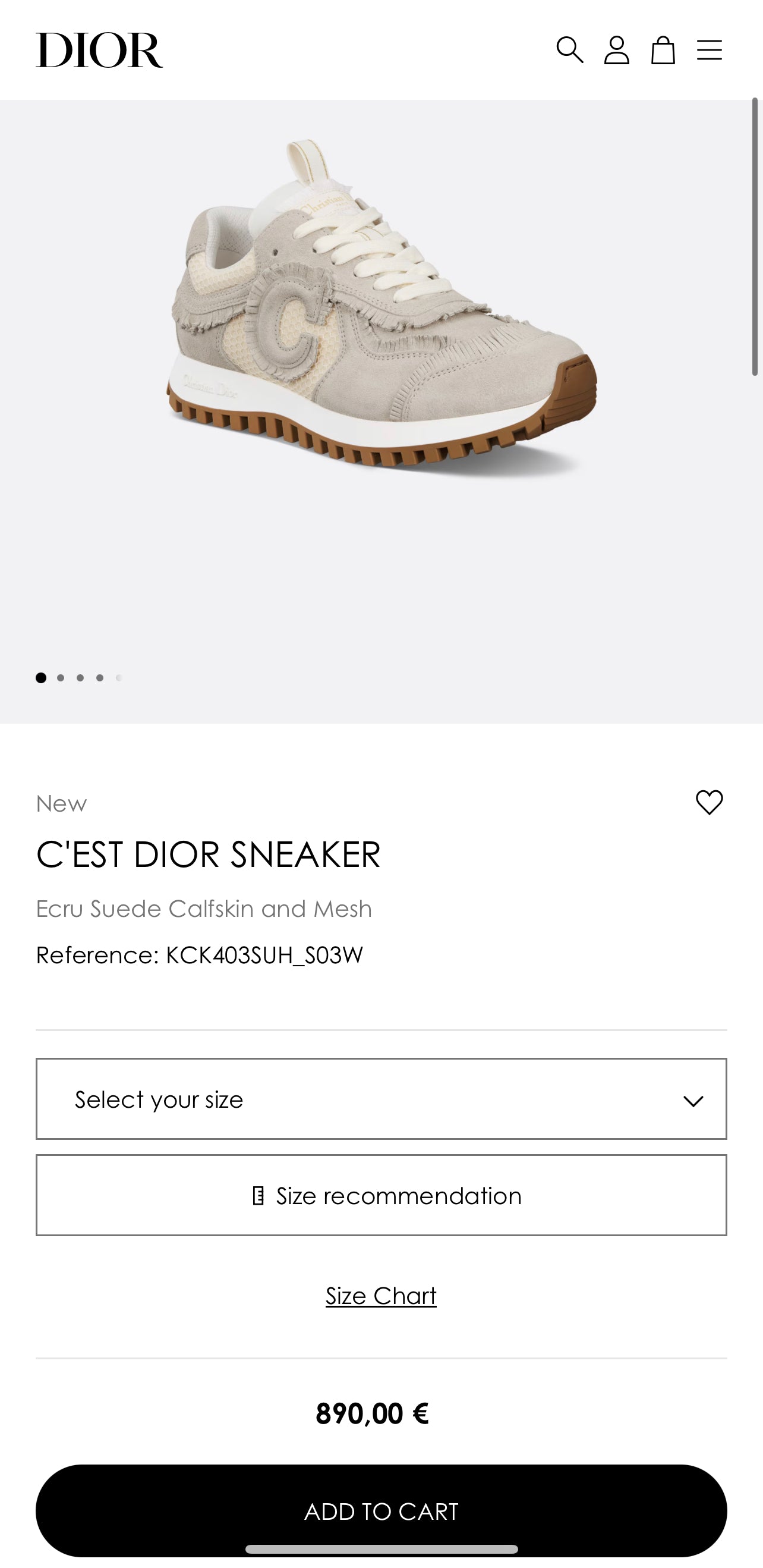 DIOR C'EST DIOR SNEAKER