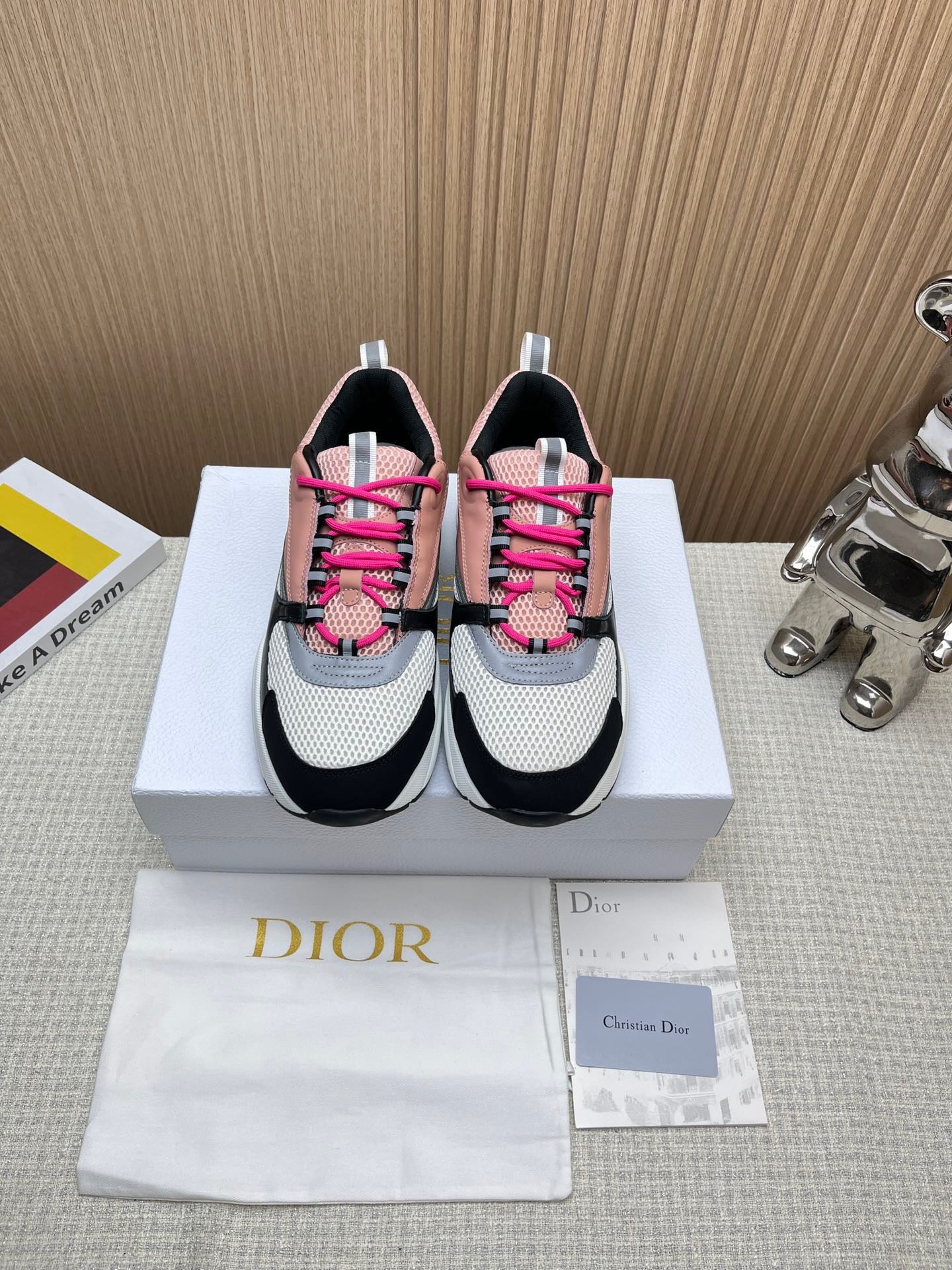 Dior B22 Calf skin pink Salmon