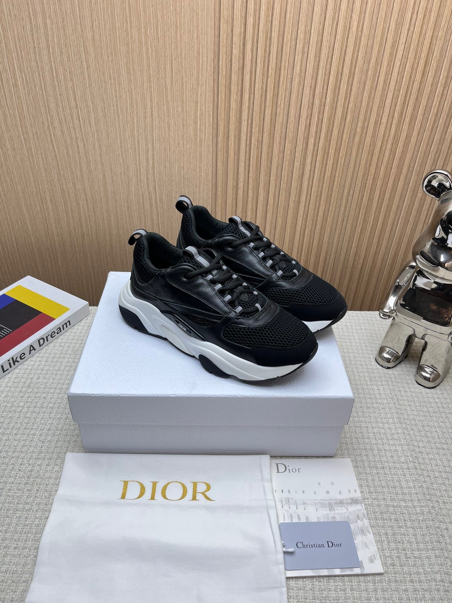 Dior B22 (NEGRO Y BLANCO)