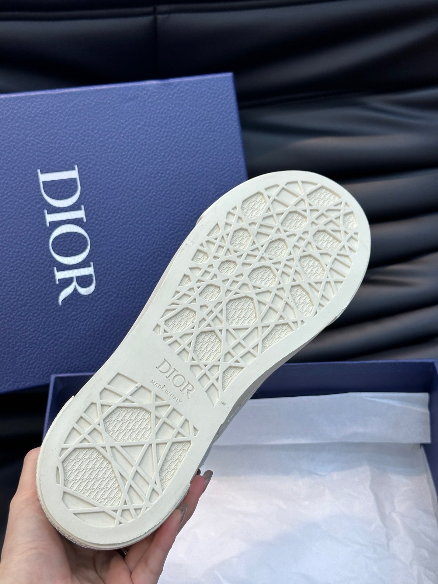 DIOR B33 SNEAKER