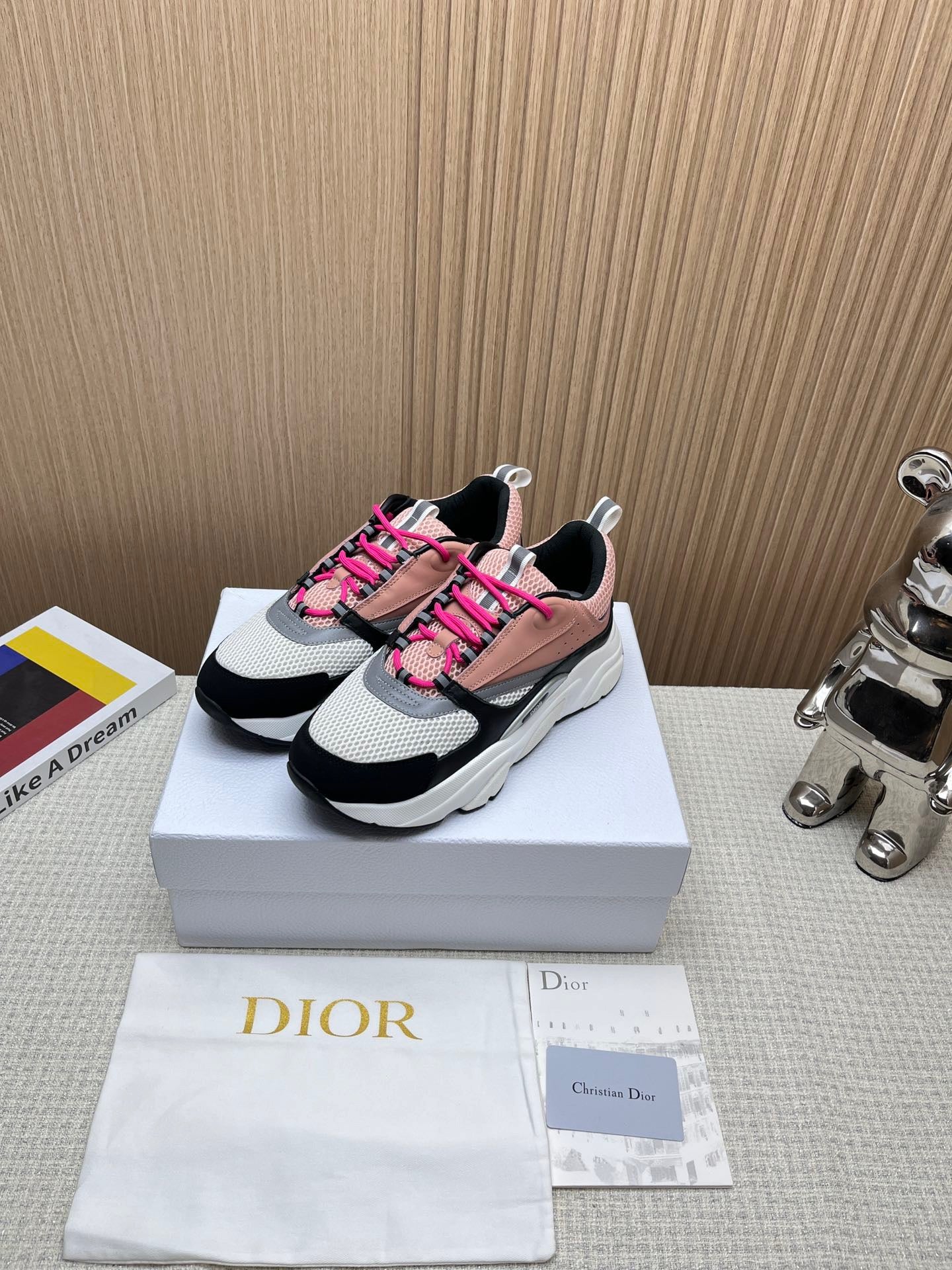 Dior B22 Calf skin pink Salmon