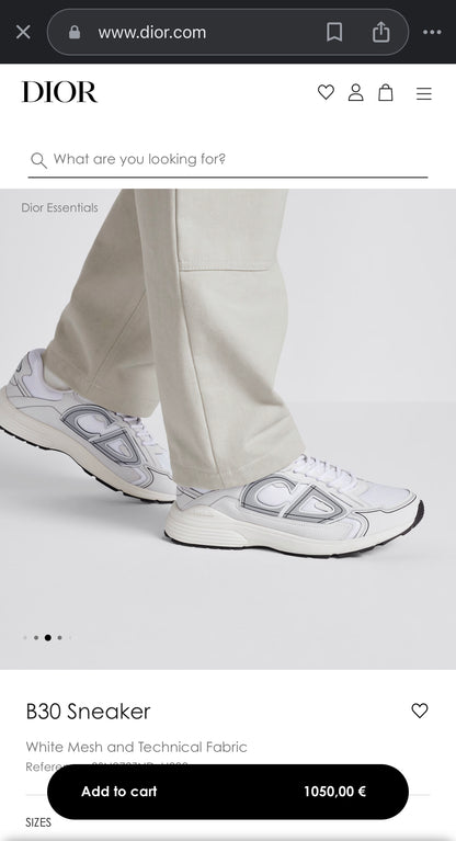 DIOR B30 Sneakers White Mesh and Technical Fabric