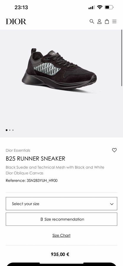 DIOR B25 RUNNER SNEAKER