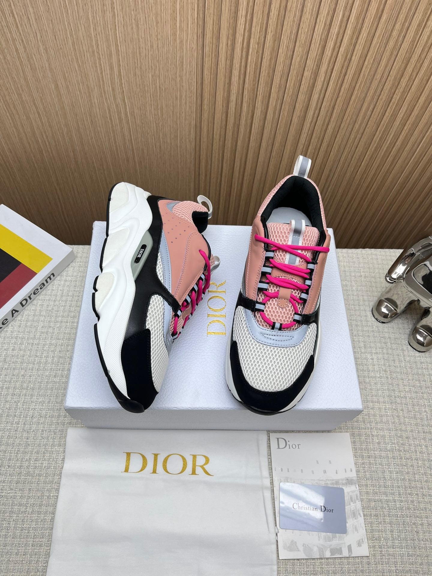 Dior B22 Calf skin pink Salmon