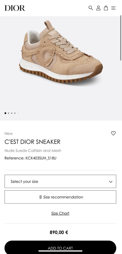 DIOR C'EST DIOR SNEAKER