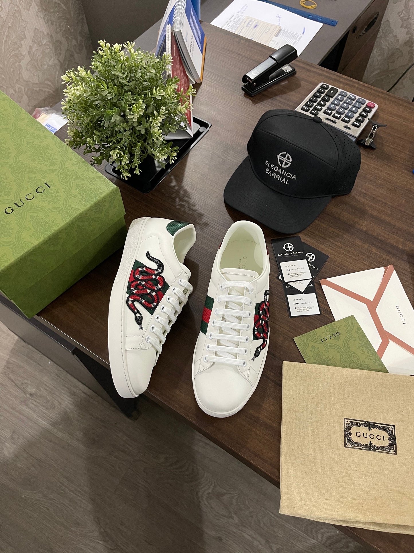 Gucci Ace (Varios Modelos)