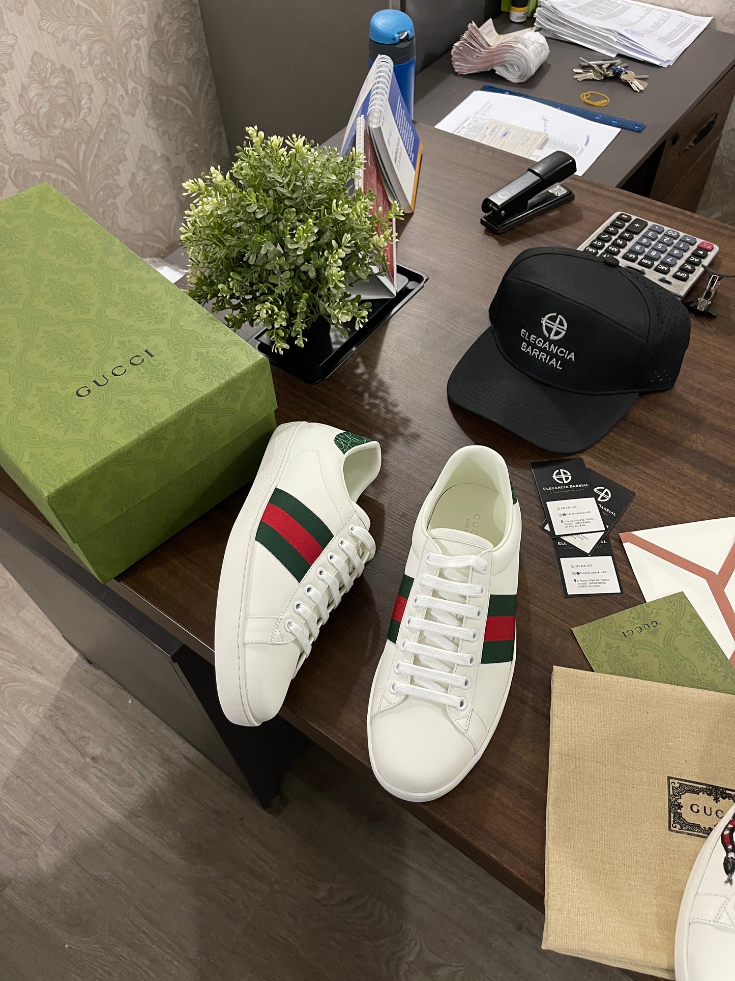 Gucci Ace (Varios Modelos)