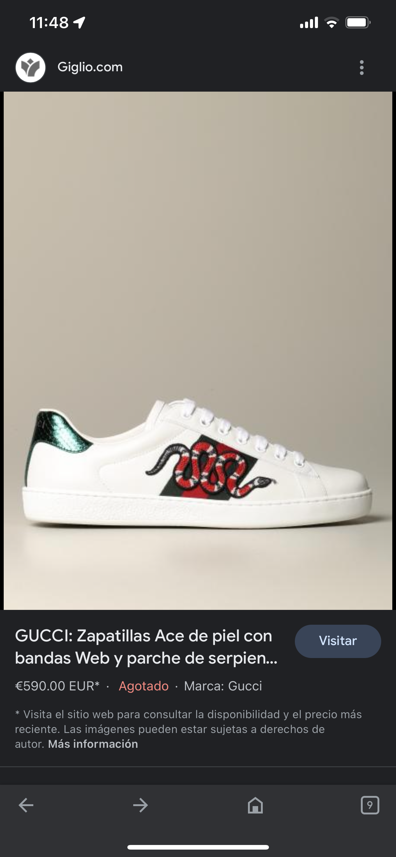 Gucci Ace (Varios Modelos)