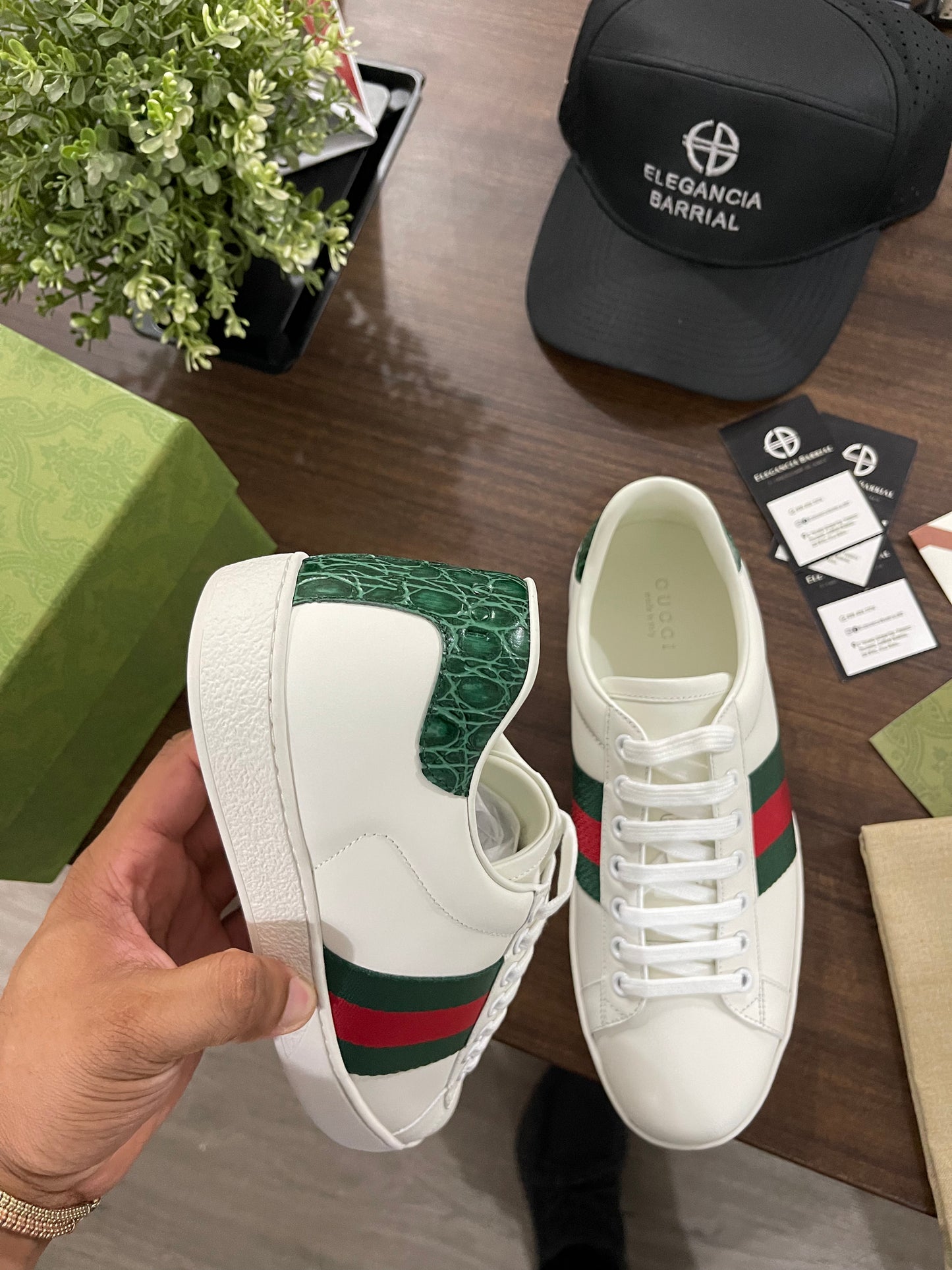 Gucci Ace (Varios Modelos)