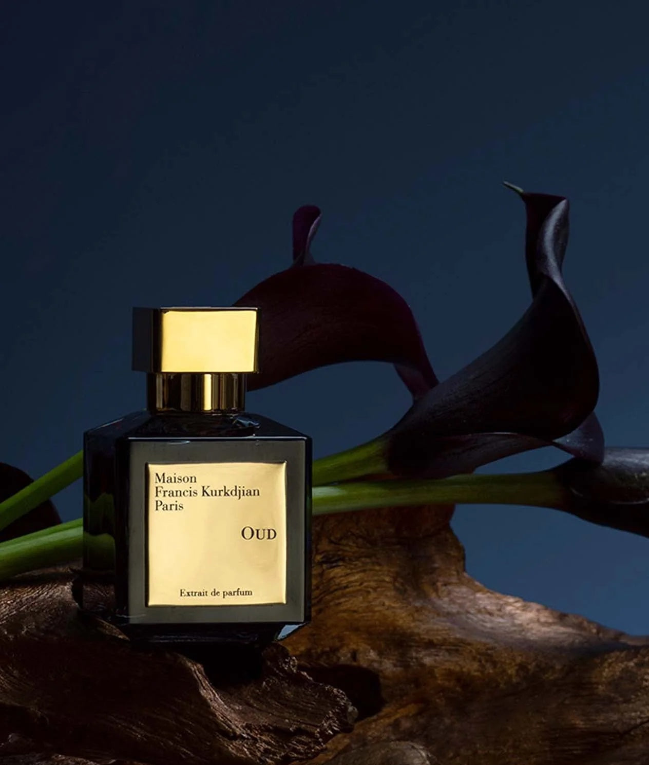 DECANT H - Maison Francis Kurkdjian OUD Extrait de Parfum