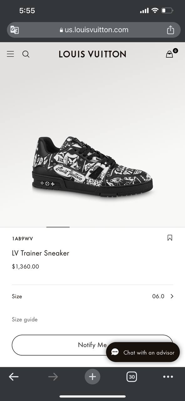 LV Trainer Sneakers (Varios)