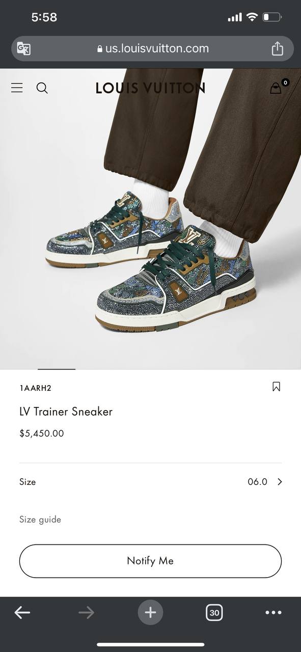 LV Trainer Sneakers (Varios)